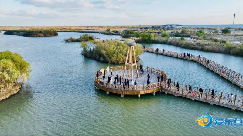 强内线厚度 强内线厚度