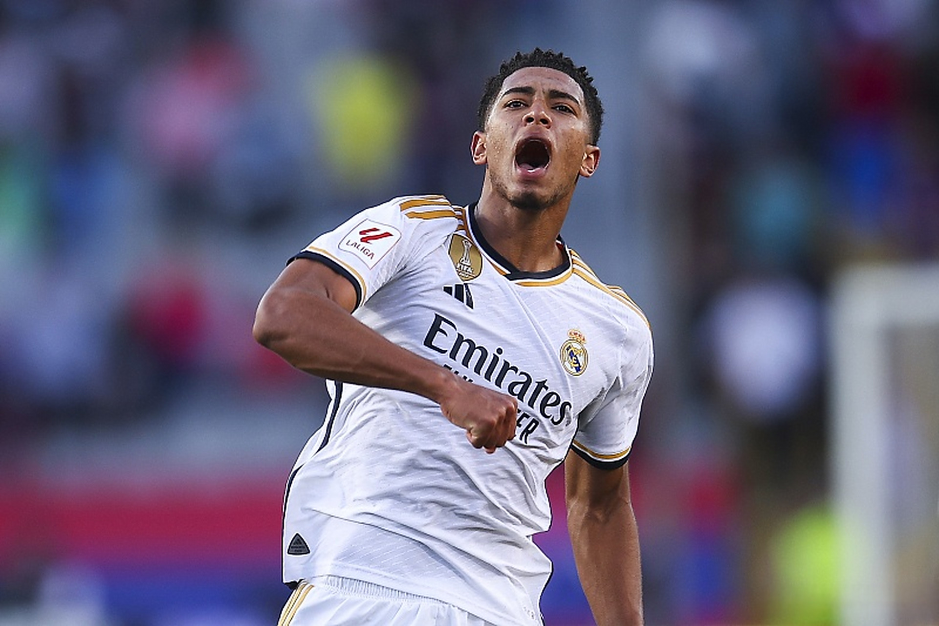 所指向的不 所指向的不